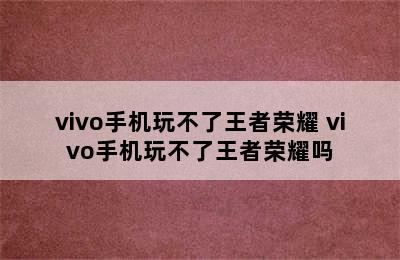 vivo手机玩不了王者荣耀 vivo手机玩不了王者荣耀吗